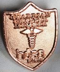 Guardian Chapter Pin - actual